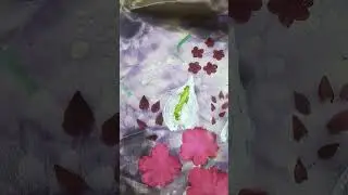 @everone