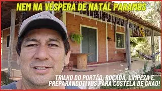 Véspera de Natal Trabalhando no Sítio | Portão do Barracão, Roçada e Preparativos da Costela de Chão