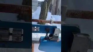 29.02.2024г. Контроль за кормами.