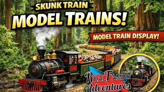 🚂 Skunk Train MODEL TRAIN Experience! | Miniature Train Set in the Redwoods