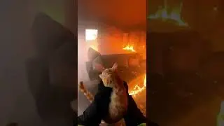 Cat Trapped in a Burning House