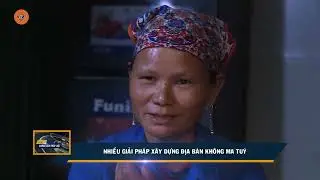 NHIỀU GIẢI PHÁP XÂY DỰNG ĐỊA BẢN KHÔNG MA TÚY | VTV5