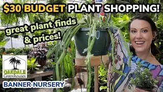 $30 BUDGET Plant Shopping & Plant Haul! - Oakdale Greenhouse & Banner Nursery - Charlotte, NC