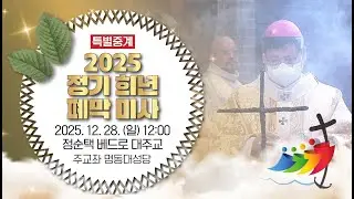 [특별중계] 2025년 정기 희년 폐막 미사ㅣ12월 28일 주일 낮 12시