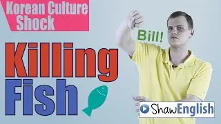 Culture Shock Korea: Killing Fish