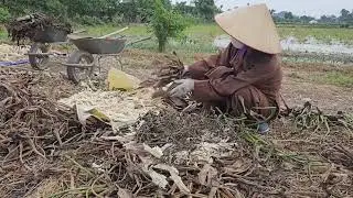 TRỒNG CÂY TỪ RÁC.