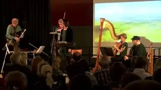 Irish Folk Band 