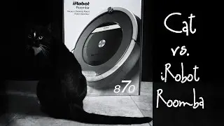 Cat vs. iRobot Roomba 870