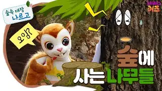나무 기둥, 나이테, 나무의 나이, 나뭇가지ㅣ숲에 사는 나무들ㅣ숲속 대장 나르고 36~40회 모아보기ㅣKBS 방송