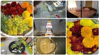 আজ পৌষ সংক্রান্তি উপলক্ষে বনফুল দিয়ে পূজা করলাম।🌼❤️#homevlog #lifestyle #lifestylevideo #viralvideo
