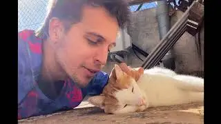 STAY HOMAS - XINU XANU (unofficial gatetes video)