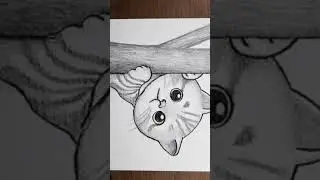 how to draw a beautiful cat drawing #viral #video