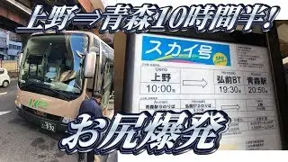 【地獄の最長昼行高速バス】スカイ号に乗ってきた。