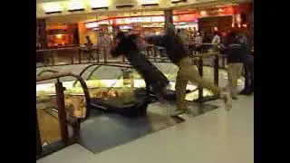 Jon Foo: 2002 Sampler - Kerbie's Parkour Museum