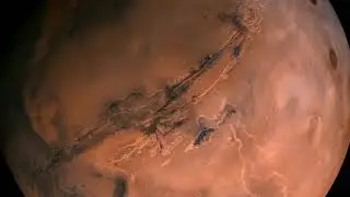 TestVid