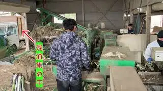 ベストロボ+マツコンセットデラックス（特注コンベア）お客様使用例