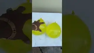 Satisfying Water Balloon Trick || Amazing Balloon Trick By DEE MOO#short#ep080