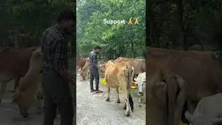 #vairalvideo #shorts #support @maa beta helpboy#🙏🙏