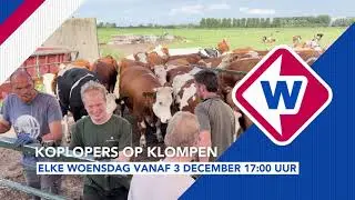 Koplopers op klompen | Provincie Zuid-Holland