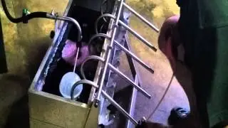 Aprenda engarrafar  vinho