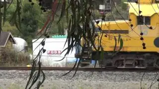 Sierra Northern Santa Cruz Local Goes by the KOA in Watsonville, CA!!!