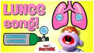 Tiny Doctors - The Lungs Song - Nursery Rhyme - Children's Educational Medical Show