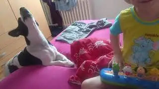 Spievaj&uacute;ci pes😂