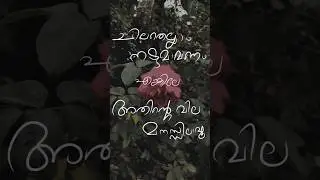 🖤 #love #alone #sad #missing #truelove #devadoothan #songs #feeling #lostlove #shorts