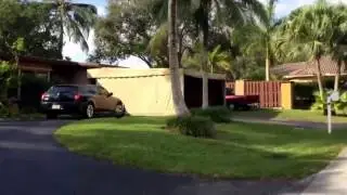 Peacock chase!!