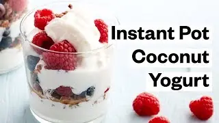 Instant Pot Coconut Yogurt (VEGAN + PALEO)