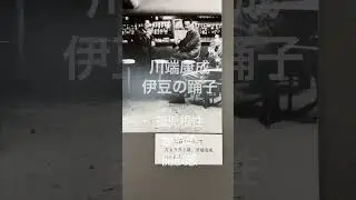 ソロライダー　八王子から箱根　伊豆高原へツーリング　ジオパーク文