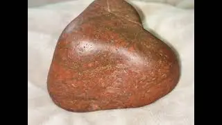 @KatSmith552 FOSSILS; Favosite, Honeycomb Coral, Charlevoix & Petoskey. Pegmatite. Vid speed altered
