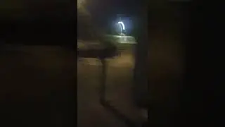 the local methheads are driving around lying about me while I record myself sleeping.