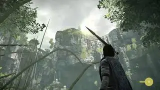 Weird Shadow of the Colossus Glitch