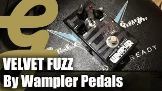 Wampler Velvet Fuzz