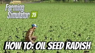 How To: Oil Seed Radish - Farming Simulator 25 FS25 XBOX