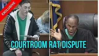 Tenant Claims Rats, Landlord Denies &mdash; Explosive Courtroom Showdown