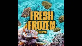 Fresh Frozen - Rat&atilde;o, Dacalma, Ik, Ogmoreirx e JJ _ DLPM (Prod. MAYK)