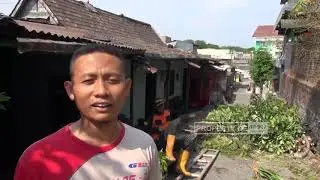 SAR MTA Tebang Pohon Berbalut Cerita Mistis di Jebres