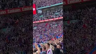 Palace celebrate Eze goal (Fa Cup Final) #shorts #football #facup #palace #premierleague