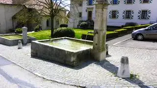 Bursins