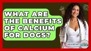 What Are The Benefits Of Calcium For Dogs? - Ask A Pet Vet