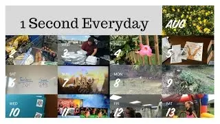 1 Second Everyday - August 2016, LisaNotes