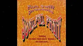 Rob Swift &ndash; A Natural High