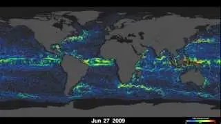 Ocean Surface Currents