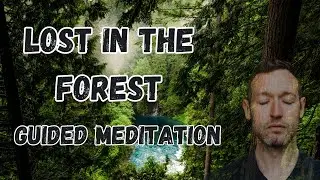 Lost in The Forest Guided Meditation