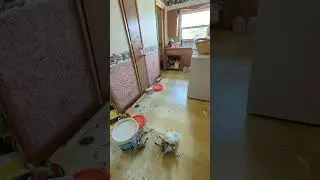 Mud Room Transformation #spring #mud #farm #transformation