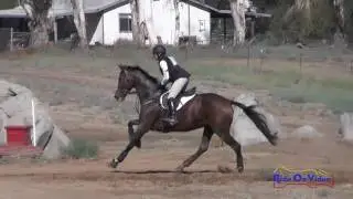 007XC Robyn Fisher on Betawave CIC2* Cross Country Copper Meadows Sept. 2016