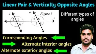 Vertically Opposite Angles | Linear pair of Angles | Alternate Angles, Corresponding Angles