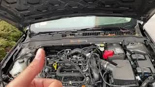 Ford Fusion &ndash; Engine coolant